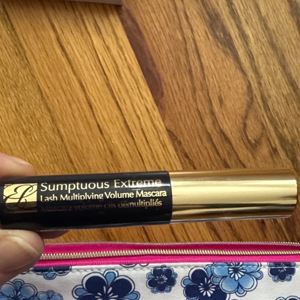 Estee Lauder bag and mini Makeup items